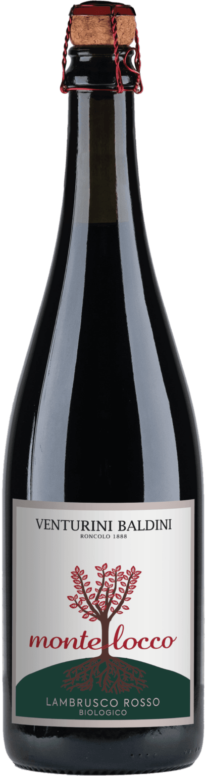 Montelocco Lambrusco